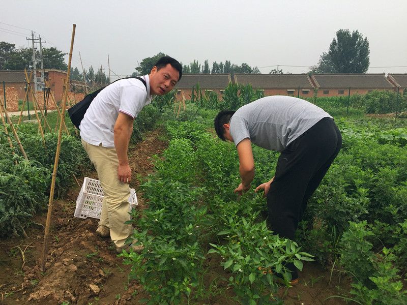 好利來郭總喊您來摘菜啦！綠色無公害，放心！