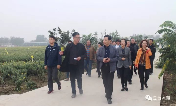 云臺冰菊基地發(fā)生了什么？一批批領導專家團隊前來！